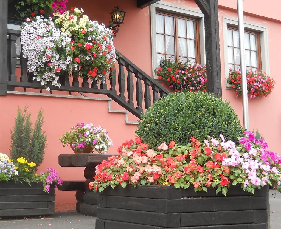 Hotel Schwarzes Ross Schwarzach am Main Exteriör bild